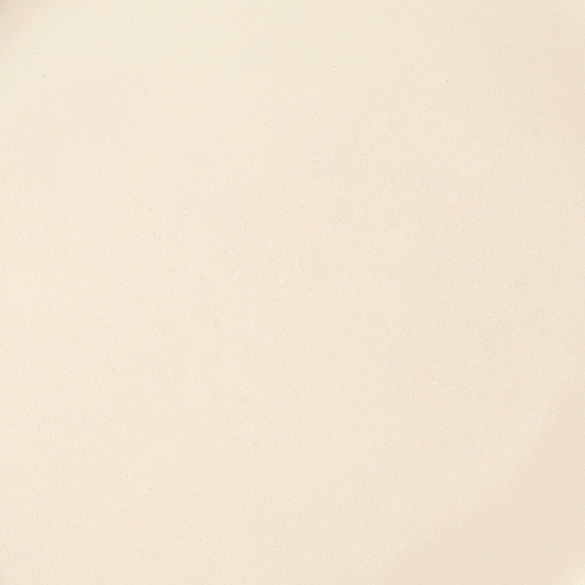 Danmero Ivory Serving Plate — macro close-up of the matte glaze surface at the center