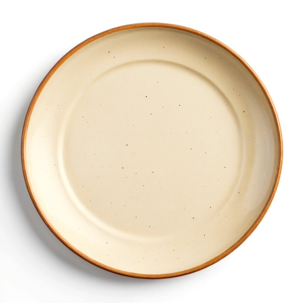 Danmero Bone Dinner Plate — top-down view showing complete top face and concentric rim.