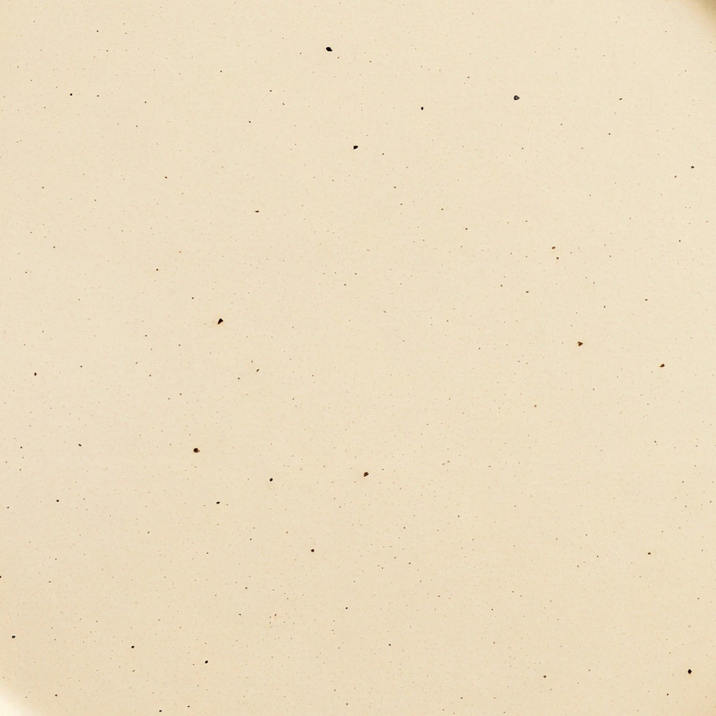 Danmero Bone Dinner Plate — macro close-up of glaze surface texture at the center.