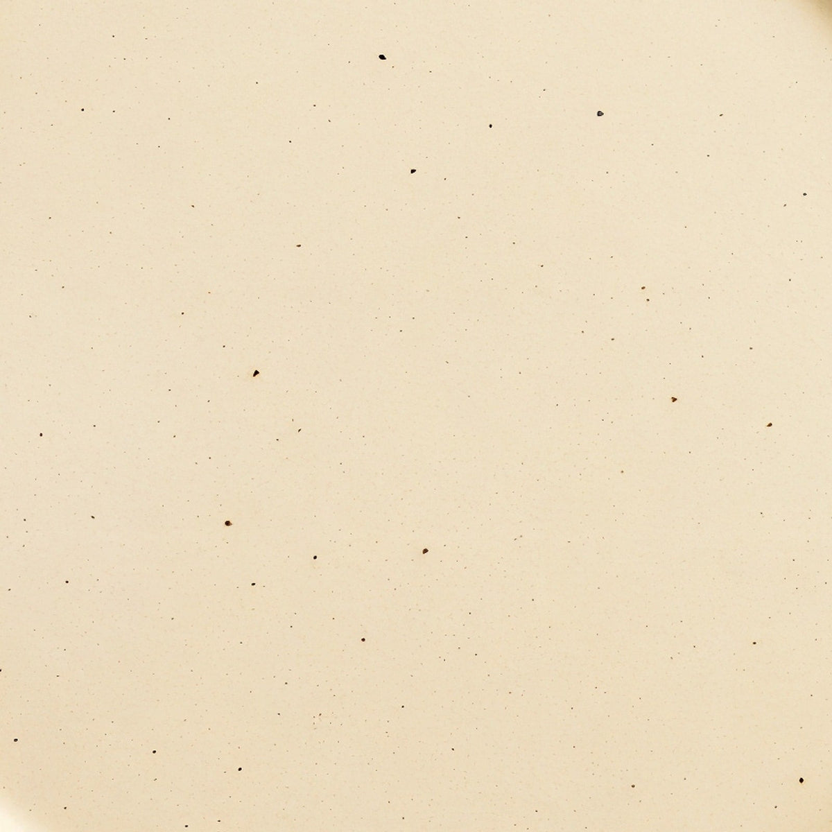 Danmero Bone Dinner Plate — macro close-up of glaze surface texture at the center.