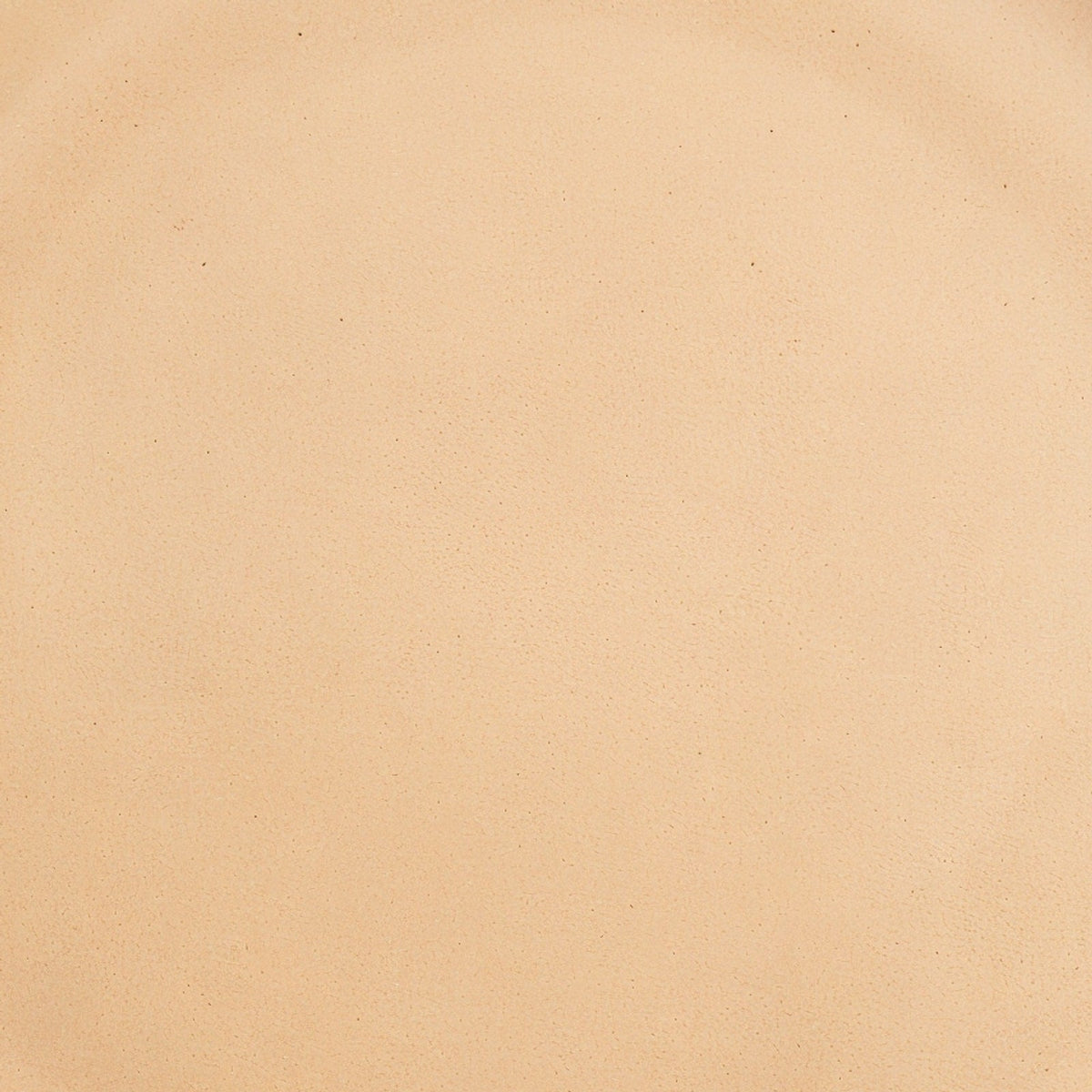 Danmero Apricot Dinner Plate — macro close-up of glaze surface detail