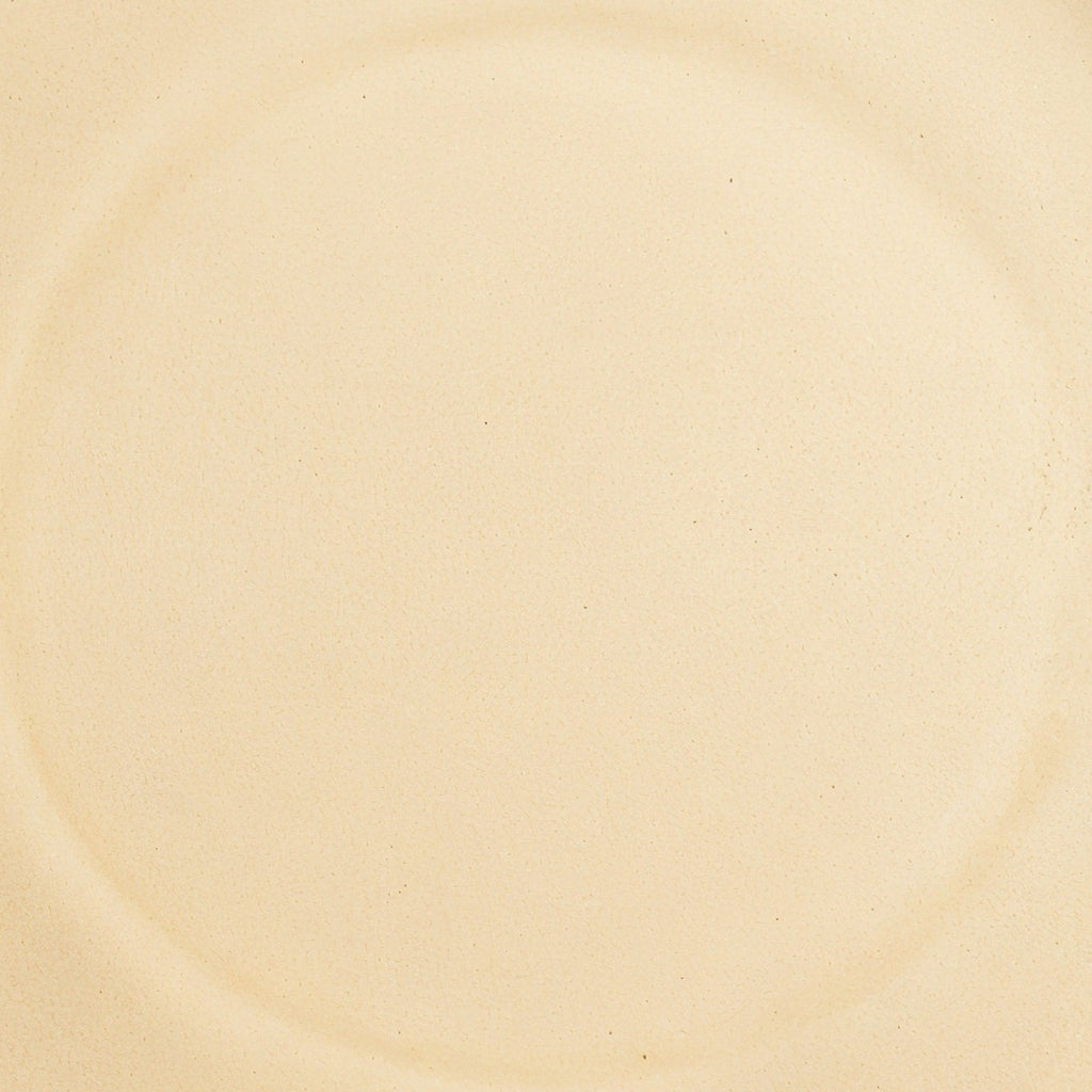 Danmero Ochre Dinner Plate — macro close-up of the matte glaze surface texture