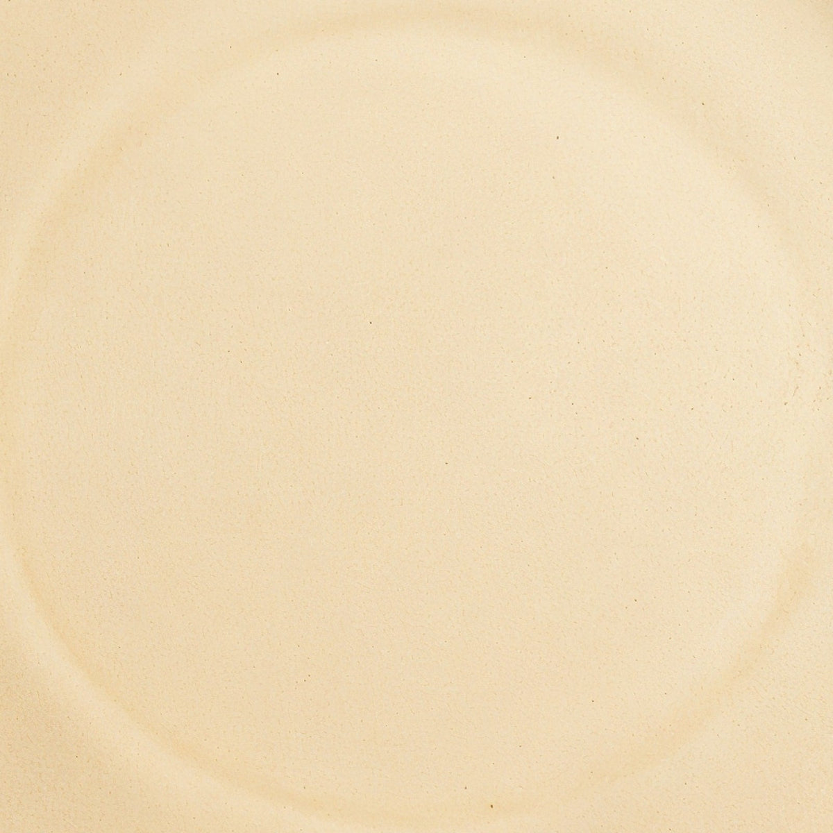 Danmero Ochre Dinner Plate — macro close-up of the matte glaze surface texture