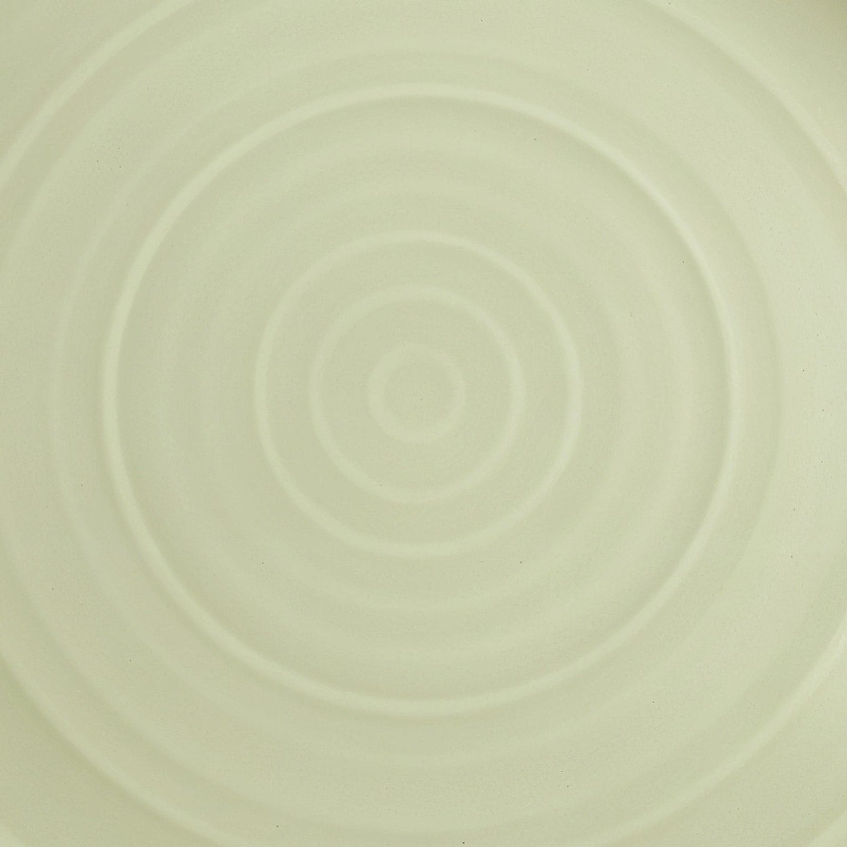 Danmero Eucalyptus Dessert Plate — macro glaze surface detail