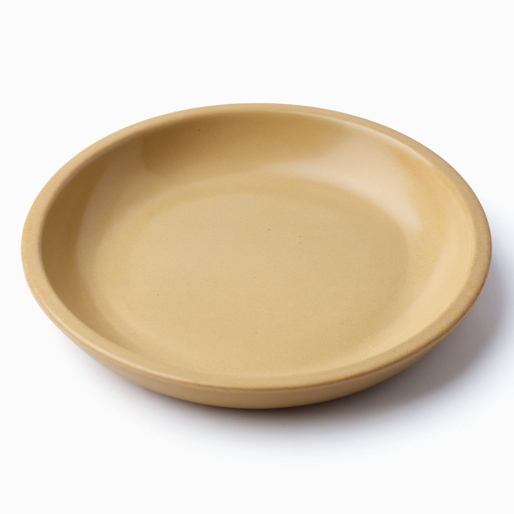 Danmero Wheat Pasta Plate — hero front view showing full plate and rim