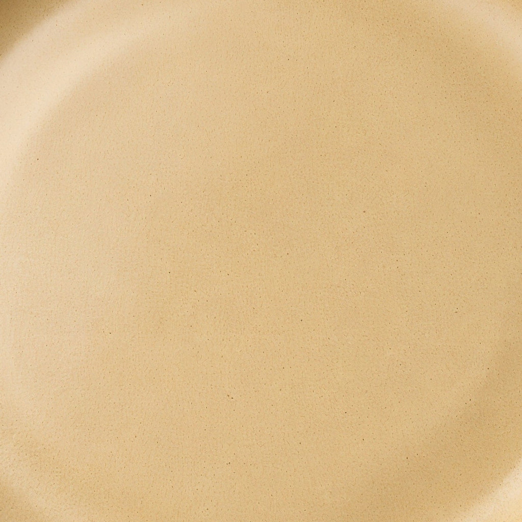 Danmero Wheat Pasta Plate — macro view of the glaze surface texture