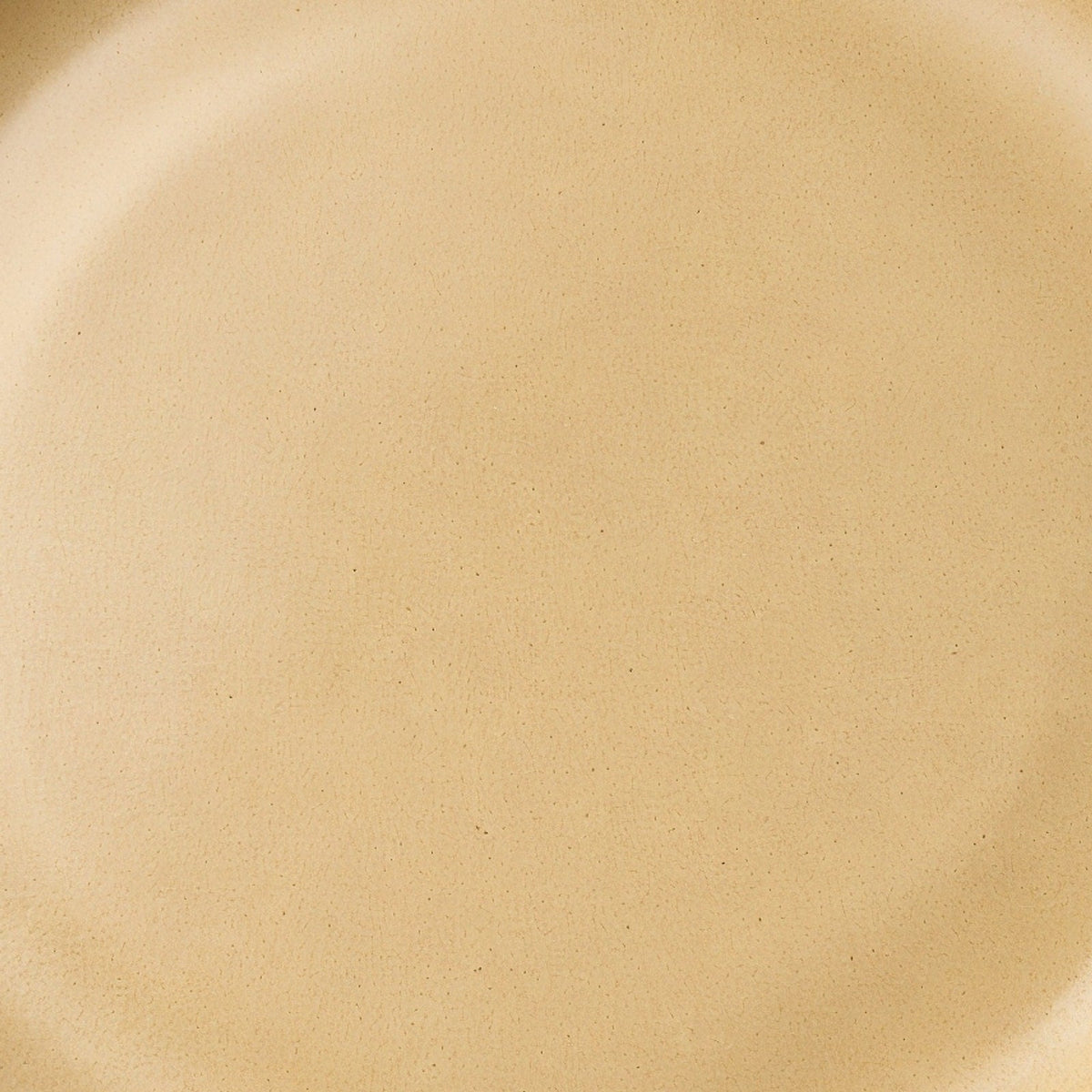 Danmero Wheat Pasta Plate — macro view of the glaze surface texture