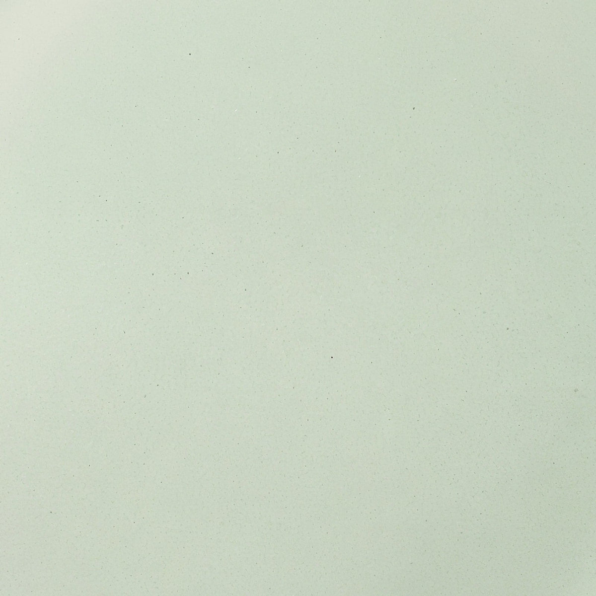 Danmero Sage Salad Plate — macro glaze detail showing surface texture at the plate's center