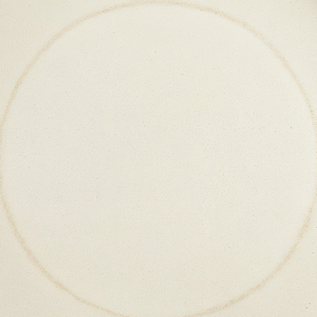 Danmero Eggshell Dinner Plate — macro close-up of glaze surface texture