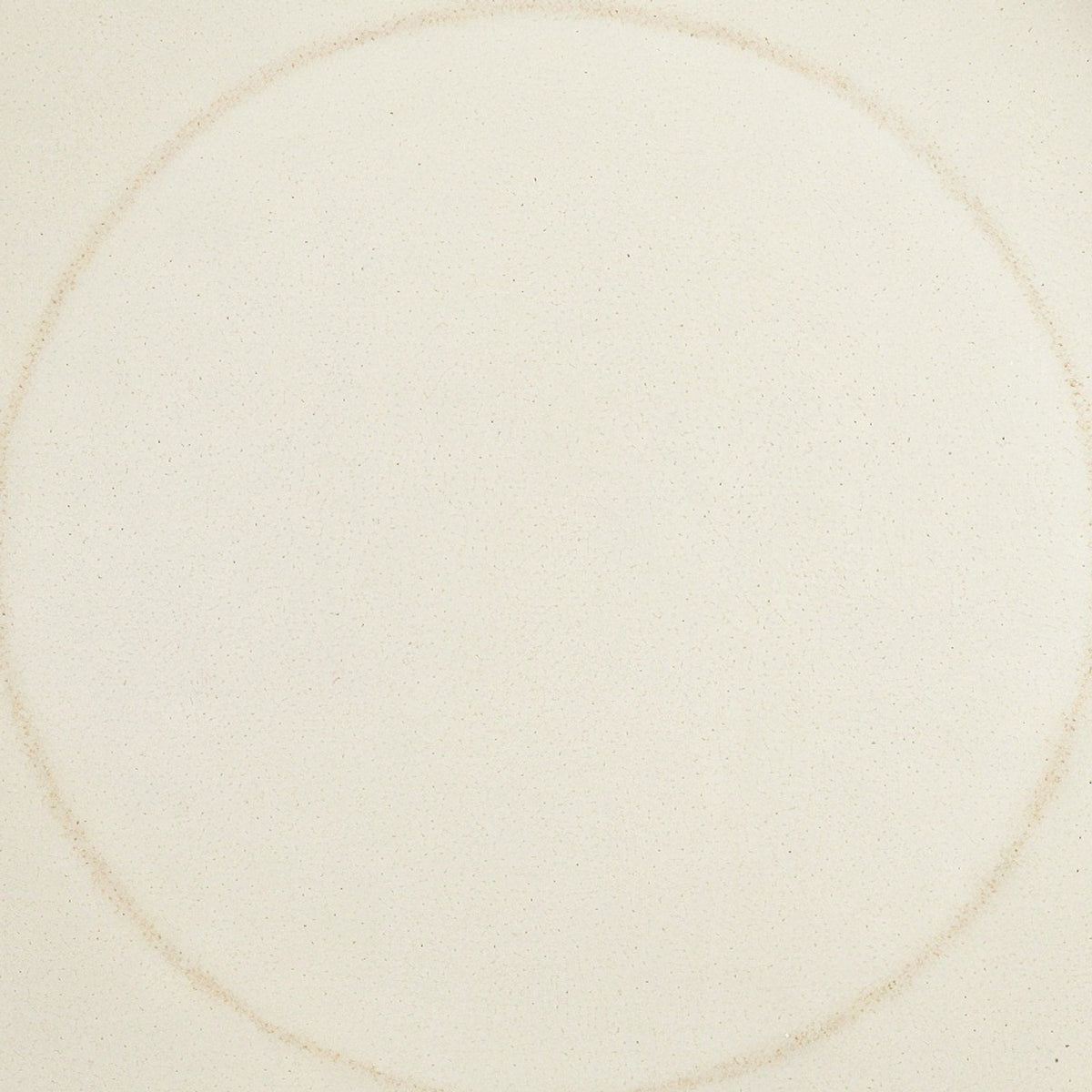 Danmero Eggshell Dinner Plate — macro close-up of glaze surface texture