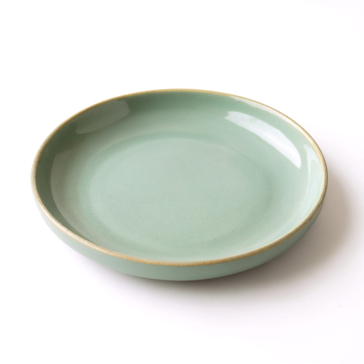 Danmero Willow Pasta Plate — three-quarter angled view showing full top face and raised rim