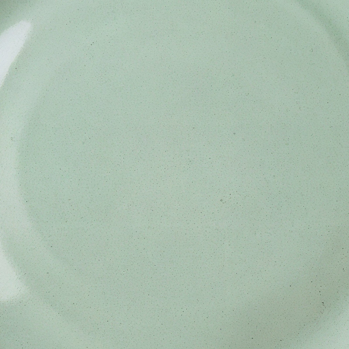 Danmero Willow Pasta Plate — macro detail of glaze surface texture